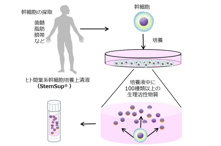 幹細胞培養上清液治療